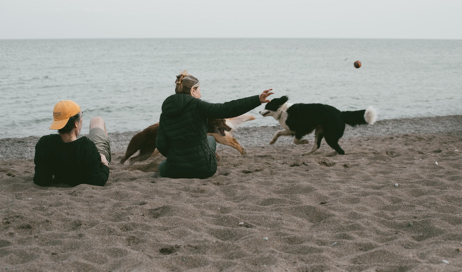 Playing with dogs on beach outside