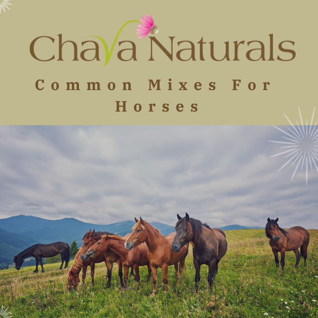 Big Sky Supplements - Common Herb Mixes for Horses 🌿