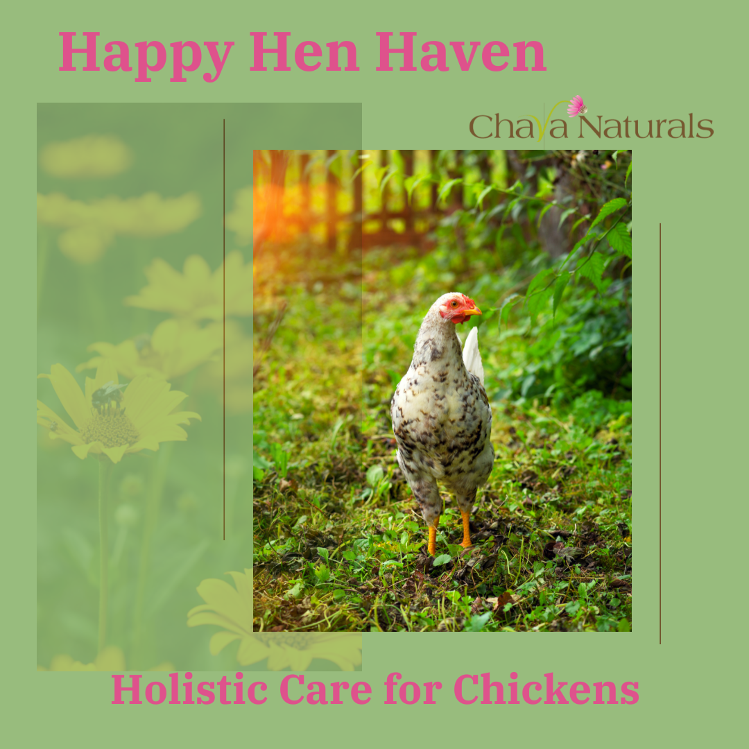 Happy Hen Haven - Holistic Chicken Care 🌿